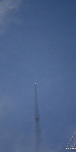 2012 Svojek mirek patek